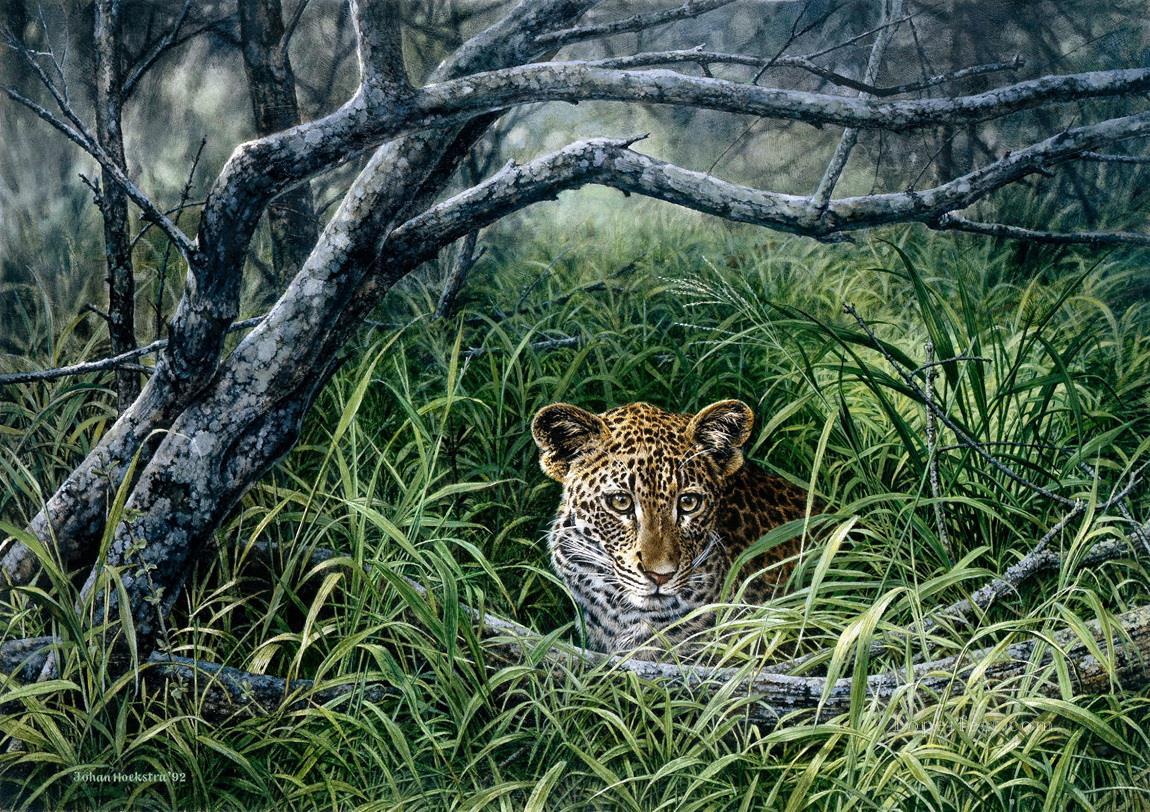 leopard 16 Oil Paintings